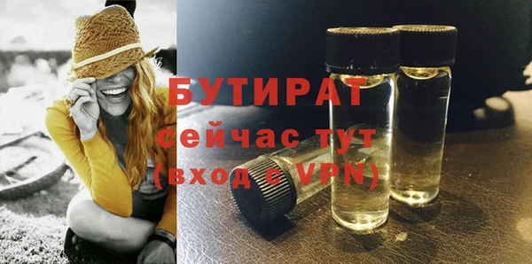 шишки Верея